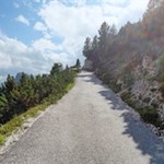 Su ampi sentieri verso il monte Piana