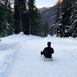 Abfahrt auf der Rodelbahn Tschantschenon