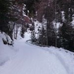 Rodelbahn von der Fane Alm