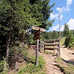 Schließlich zweigt rechts der Weg Nr. 5 zur nunmehr nahen Brunnerwiesen Alm ab