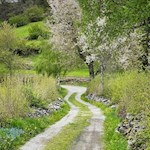 Auf dem Wasserbühelweg in Lajen