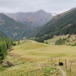 Hinter der Bodenalm steigt der Pfad über die friedvollen Weidehänge in Richtung Gampielalm an