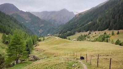 Hinter der Bodenalm steigt der Pfad über die friedvollen Weidehänge in Richtung Gampielalm an