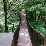 Hängebrücke unterhalb des beschaulichen Weilers Altenburg