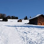 Bei den Maurerdreiwiesen zweigt der Weg auf den Campill ab