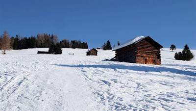Bei den Maurerdreiwiesen zweigt der Weg auf den Campill ab