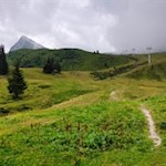 Von der Kalcheralm kann man zum Jaufenpass hochwandern