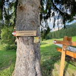 Schließlich zweigt der Weg zum Häusler Sam ab