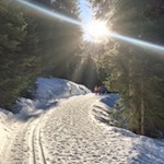 Sanft zieht sich der Winterwanderweg zur Kalcheralm