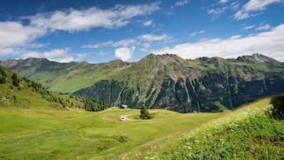 Ausblick von der Joggelealm