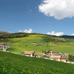 Der-letzte-Teil-des-Weges-führt-durch-Blumenwiesen