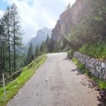 Una vecchia strada militare conduce al monte Piana