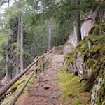 Durch den wurzelbeschlagenen Wald nach St. Ulrich