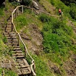 Im steten Anstieg zur Prossliner Schwaige