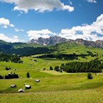 Den Almwiesen der Seiser Alm wohnt ein besonderer Liebreiz inne