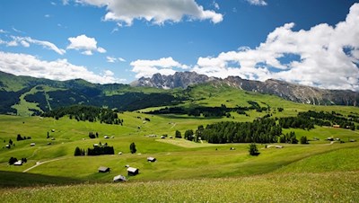 Den Almwiesen der Seiser Alm wohnt ein besonderer Liebreiz inne