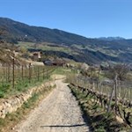 Durch aussichtsreiche Apfelwiesen nach Elvas