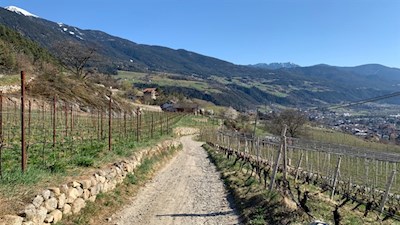 Durch aussichtsreiche Apfelwiesen nach Elvas