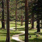 Sanft schlängelt sich der Wanderweg durch den Naturpark Fanes-Sennes-Prags