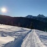 Im Hintergrund erhebt sich der markante Peitlerkofel