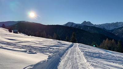 Im Hintergrund erhebt sich der markante Peitlerkofel