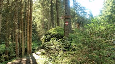 Die Wanderung zu den Schrüttenseen ist gut ausgeschildert