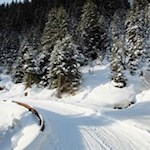 Dank ihrer sanften Neigung ist die Rodelbahn von der Stadlalm ein beliebtes Ausflugsziel für die ganze Familie