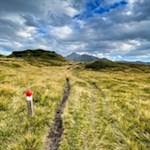 Die Wanderung zur Enzianhütte ist gut markiert
