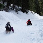 Auf die Kufen, fertig, los!