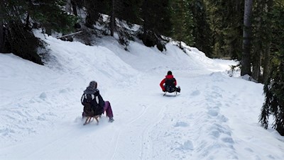 Auf die Kufen, fertig, los!