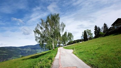 Auf dem breiten Asphaltsträßchen in Richtung Völser Weiher