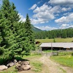 Inmitten idyllischer Wiesen liegt die Sattelbergalm