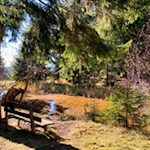 Der Planetenweg führt durch lauschige Biotope