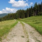 Der breite Wanderweg zur Busegge Alm