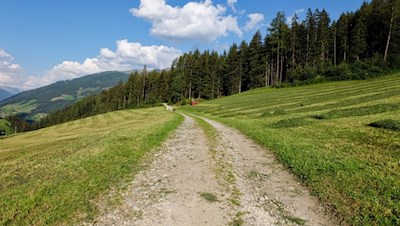 Der breite Wanderweg zur Busegge Alm
