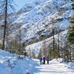 Familienwanderung zur Dreischusterhütte