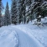 Durch den winterlich verschneiten Wald zum Elisabeth Denkmal