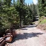 Auf dem breiten Wanderweg nähern wir uns der Brunnerwiesen Alm