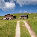 Pieralongia Hütte
