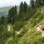 Auf dem Wanderweg Nr. 8A in Richtung Würzjoch