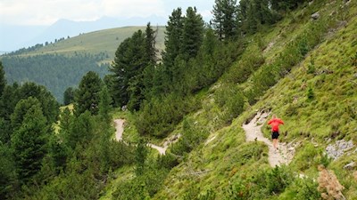 Auf dem Wanderweg Nr. 8A in Richtung Würzjoch