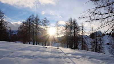 Abendstimmung auf den Armentarawiesen