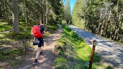 Leichte Wanderung zur Leadner Alm