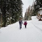 Der präparierte Waldweg führt im angenehmen Anstieg zur Welschellener Alm