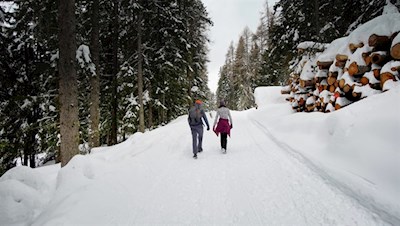 Der präparierte Waldweg führt im angenehmen Anstieg zur Welschellener Alm