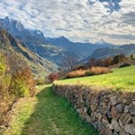 Über die herbstlich gefärbten Hänge nach Barbian