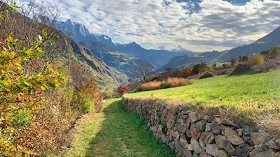 Über die herbstlich gefärbten Hänge nach Barbian