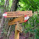Der Wanderweg nach Tagusens ist gut ausgeschildert