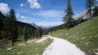 Der Rückweg von der Stolla Alm erfolgt auf dem Hinweg