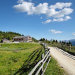 Etwas unterhalb der Starkenfeldhütte zweigt der Rückweg nach Ellen ab